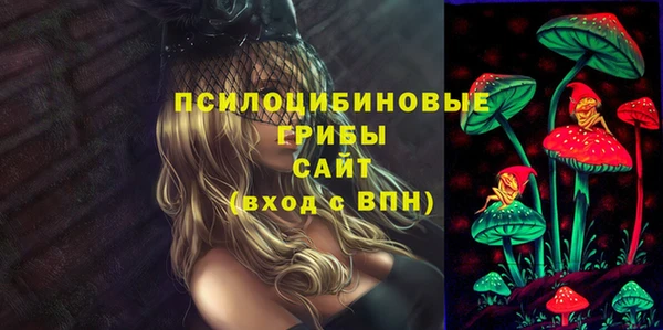 бошки Алзамай